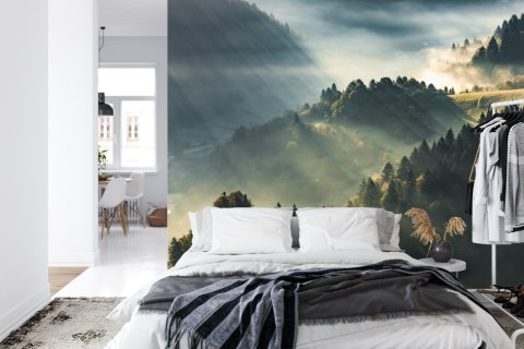 Fototapeta Las We Mgle Vinyl Gładki 152.5x104 FT-13-VGL