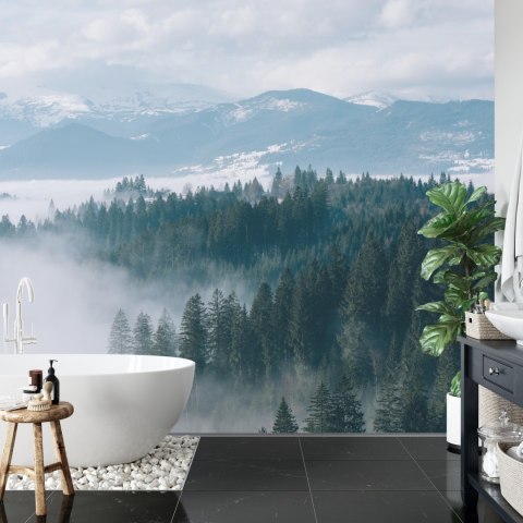 Fototapeta Las We Mgle Vinyl Gładki 152.5x104 FT-20-VGL