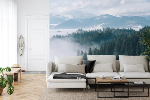 Fototapeta Las We Mgle Vinyl Gładki 152.5x104 FT-20-VGL