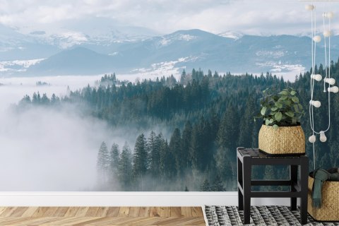 Fototapeta Las We Mgle Vinyl Gładki 152.5x104 FT-20-VGL