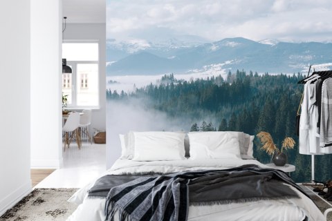 Fototapeta Las We Mgle Vinyl Gładki 152.5x104 FT-20-VGL