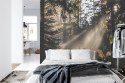 Fototapeta Las We Mgle Vinyl Gładki 152.5x104 FT-22-VGL