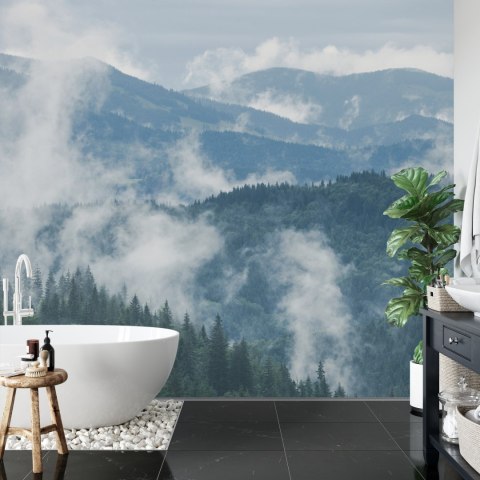 Fototapeta Las We Mgle Vinyl Gładki 152.5x104 FT-3-VGL