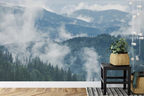 Fototapeta Las We Mgle Vinyl Gładki 152.5x104 FT-3-VGL