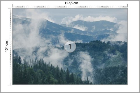 Fototapeta Las We Mgle Vinyl Gładki 152.5x104 FT-3-VGL