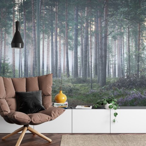 Fototapeta Las We Mgle Vinyl Gładki 152.5x104 FT-472-VGL