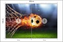 Fototapeta Piłka Nożna W Płomieniach Flizelina 208x146 FT-1013-VEXL