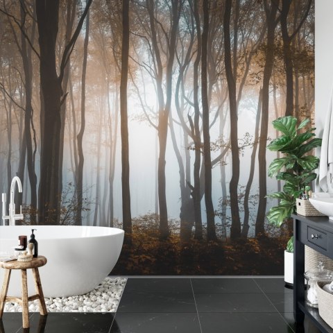 Fototapeta Las Drzewa Flizelina 208x146 FT-259-VEXL