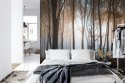 Fototapeta Las Drzewa Flizelina 208x146 FT-259-VEXL