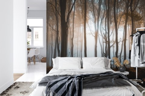 Fototapeta Las Drzewa Flizelina 208x146 FT-259-VEXL