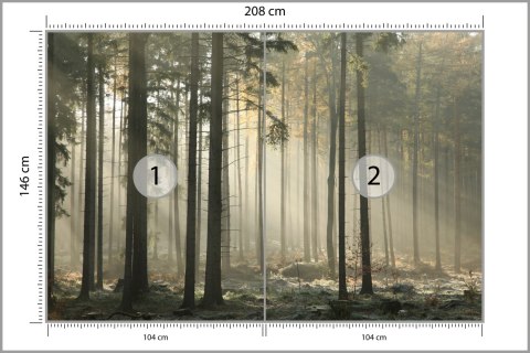 Fototapeta Las Drzewa Mgła Flizelina 208x146 FT-286-VEXL