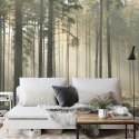 Fototapeta Las Drzewa Mgła Vinyl Gładki 152.5x104 FT-286-VGL