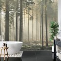 Fototapeta Las Drzewa Mgła Vinyl Gładki 152.5x104 FT-286-VGL
