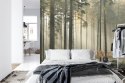 Fototapeta Las Drzewa Mgła Vinyl Gładki 152.5x104 FT-286-VGL