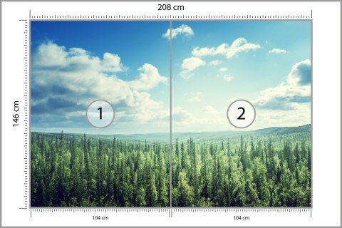 Fototapeta Las Drzewa Niebo Flizelina 208x146 FT-261-VEXL