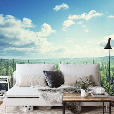 Fototapeta Las Drzewa Niebo Vinyl Gładki 152.5x104 FT-261-VGL