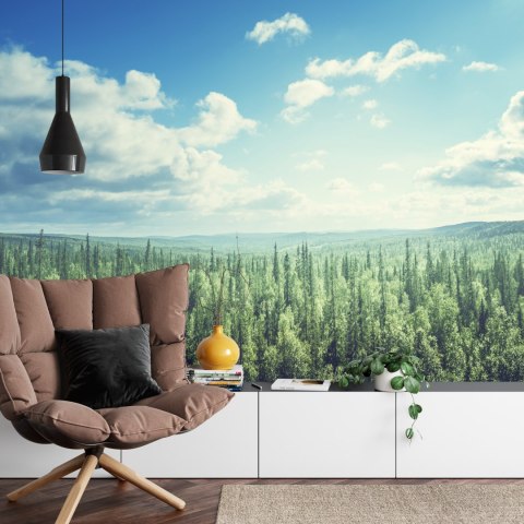 Fototapeta Las Drzewa Niebo Vinyl Gładki 152.5x104 FT-261-VGL