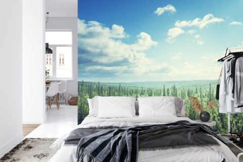 Fototapeta Las Drzewa Niebo Vinyl Gładki 152.5x104 FT-261-VGL