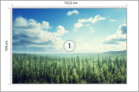 Fototapeta Las Drzewa Niebo Vinyl Gładki 152.5x104 FT-261-VGL