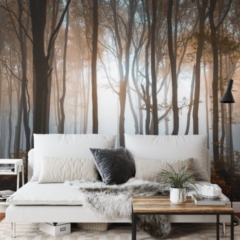 Fototapeta Las Drzewa Vinyl Gładki 152.5x104 FT-259-VGL