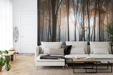 Fototapeta Las Drzewa Vinyl Gładki 152.5x104 FT-259-VGL