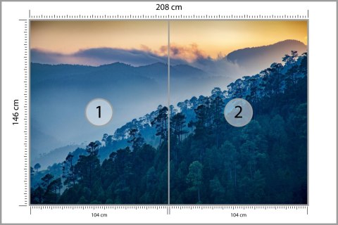 Fototapeta Las Góry Flizelina 208x146 FT-275-VEXL