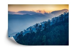 Fototapeta Las Góry Vinyl Gładki 152.5x104 FT-275-VGL