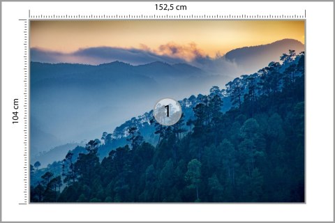 Fototapeta Las Góry Vinyl Gładki 152.5x104 FT-275-VGL