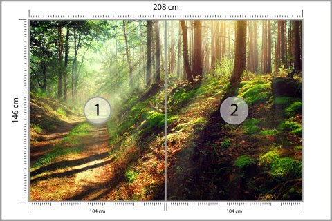 Fototapeta Las Natura Flizelina 208x146 FT-262-VEXL