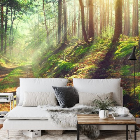 Fototapeta Las Natura Vinyl Gładki 152.5x104 FT-262-VGL