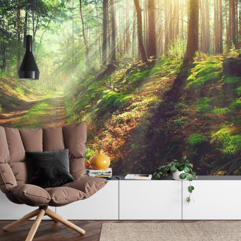 Fototapeta Las Natura Vinyl Gładki 152.5x104 FT-262-VGL