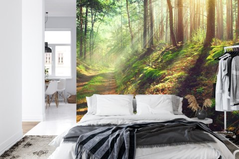 Fototapeta Las Natura Vinyl Gładki 152.5x104 FT-262-VGL