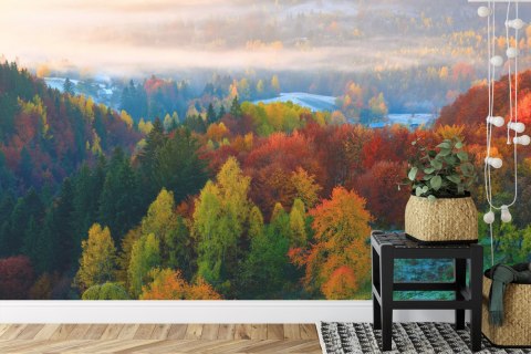 Fototapeta Las We Mgle Flizelina 208x146 FT-477-VEXL