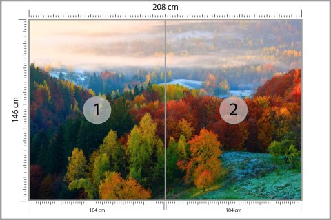 Fototapeta Las We Mgle Flizelina 208x146 FT-477-VEXL