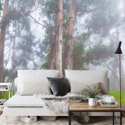 Fototapeta Las We Mgle Flizelina 208x146 FT-478-VEXL