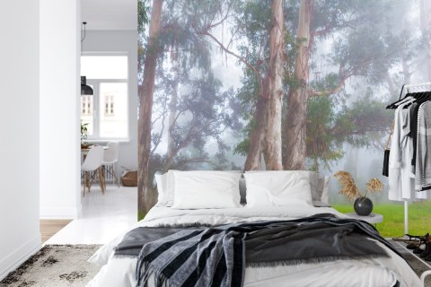 Fototapeta Las We Mgle Flizelina 208x146 FT-478-VEXL