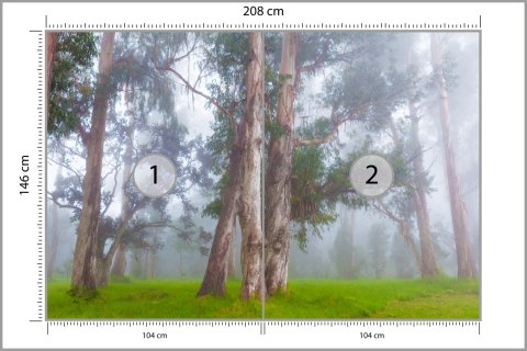 Fototapeta Las We Mgle Flizelina 208x146 FT-478-VEXL