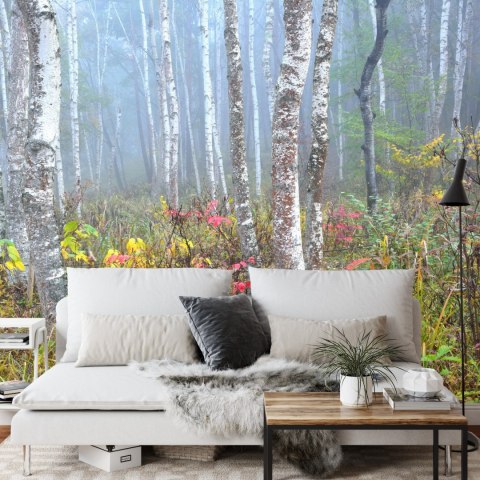 Fototapeta Las We Mgle Flizelina 208x146 FT-479-VEXL