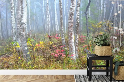 Fototapeta Las We Mgle Flizelina 208x146 FT-479-VEXL