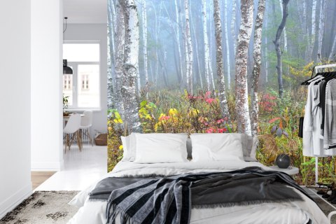 Fototapeta Las We Mgle Flizelina 208x146 FT-479-VEXL