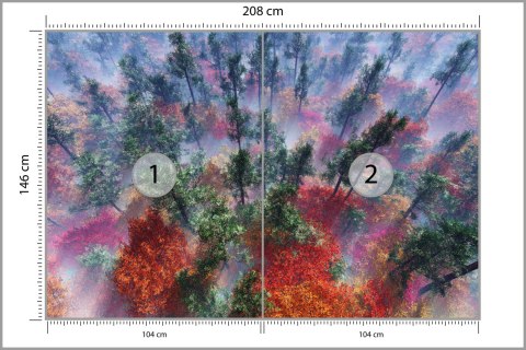 Fototapeta Las We Mgle Flizelina 208x146 FT-484-VEXL