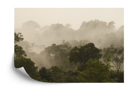 Fototapeta Las We Mgle Flizelina 208x146 FT-490-VEXL