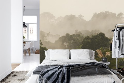 Fototapeta Las We Mgle Flizelina 208x146 FT-490-VEXL