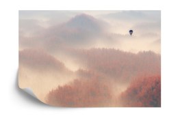 Fototapeta Las We Mgle Vinyl Gładki 152.5x104 FT-468-VGL