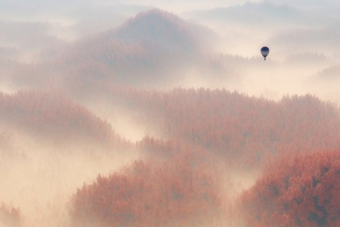 Fototapeta Las We Mgle Vinyl Gładki 152.5x104 FT-468-VGL