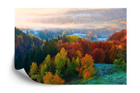 Fototapeta Las We Mgle Vinyl Gładki 152.5x104 FT-477-VGL