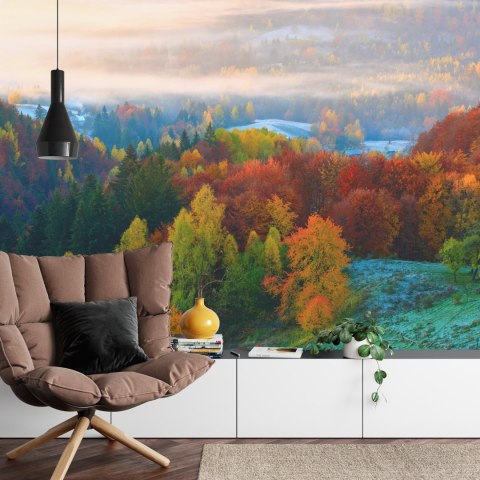 Fototapeta Las We Mgle Vinyl Gładki 152.5x104 FT-477-VGL