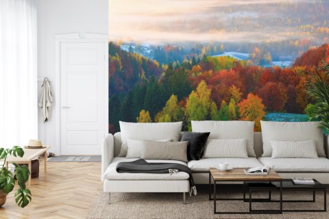 Fototapeta Las We Mgle Vinyl Gładki 152.5x104 FT-477-VGL