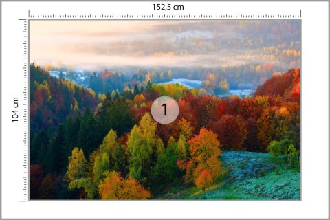 Fototapeta Las We Mgle Vinyl Gładki 152.5x104 FT-477-VGL