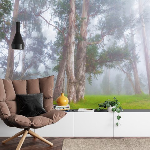 Fototapeta Las We Mgle Vinyl Gładki 152.5x104 FT-478-VGL